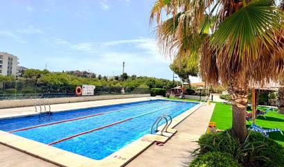 Sale - Apartment - Orihuela Costa - La Zenia