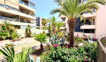 Sale - Apartment - Orihuela Costa - La Zenia
