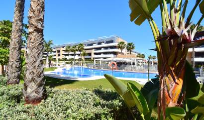 Sale - Apartment - Orihuela Costa