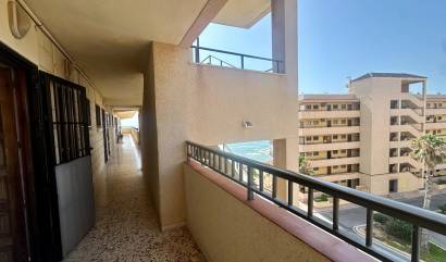Sale - Apartment - Torrevieja - Cabo Cervera