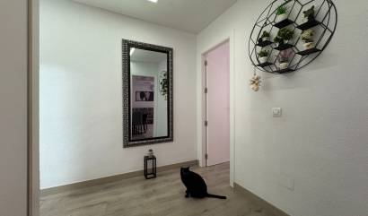 Sale - Apartment - Torrevieja - Centro