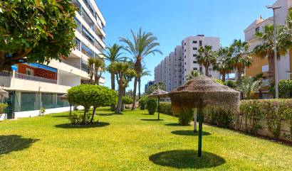 Sale - Apartment - Torrevieja - Rocio del mar