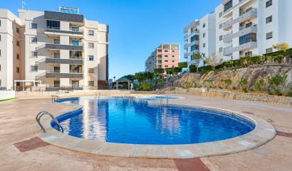 Sale - Apartments - San Miguel de Salinas - San Miguel