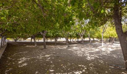 Sale - Bungalow - Torrevieja - Playa de los Naufragos