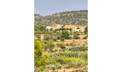 Sale - Commercial - Casas del Senor