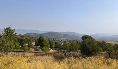 Sale - Commercial - Casas del Senor