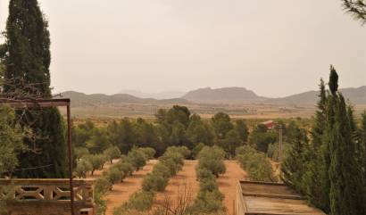 Sale - Commercial - Salinas