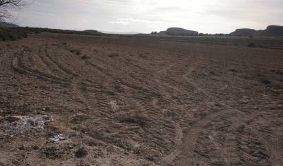 Sale - Commercial - Yecla