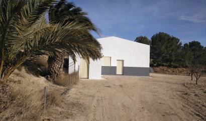 Sale - Commercial - Yecla