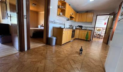 Sale - Country House - Alguena