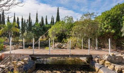 Sale - Country House - Catral