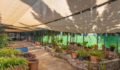 Sale - Country House - Catral