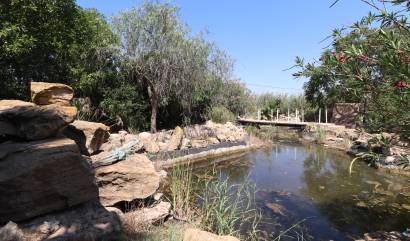 Sale - Country House - Catral