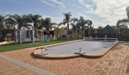 Sale - Country House - Daya Vieja