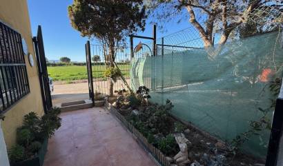 Sale - Country House - Guardamar del Segura