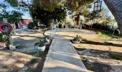 Sale - Country House - Guardamar del Segura
