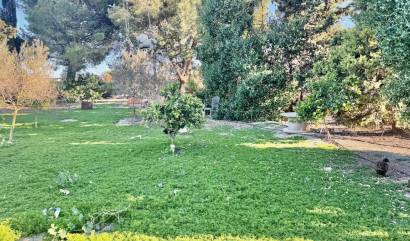 Sale - Country House - Guardamar del Segura