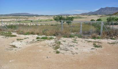 Sale - Country House - Jumilla