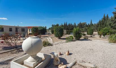 Sale - Country House - Los Montesinos