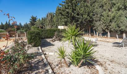 Sale - Country House - Los Montesinos