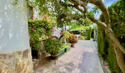 Sale - Country House - Orihuela