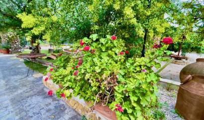 Sale - Country House - Orihuela