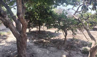 Sale - Country House - Rojales - Ciudad Quesada