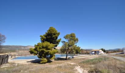 Sale - Country House - Villena