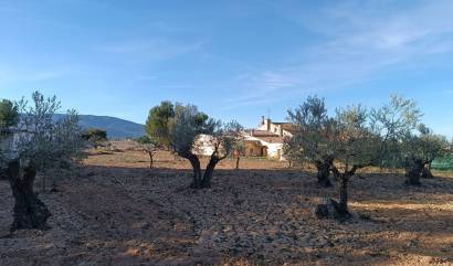 Sale - Country House - Yecla