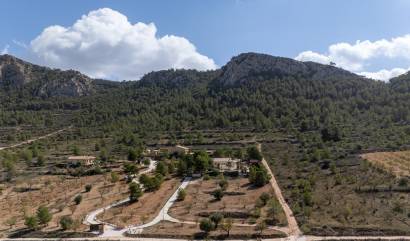 Sale - Independent villa - La Zarza