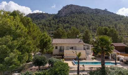 Sale - Independent villa - La Zarza