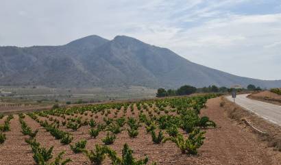 Sale - Land - Abanilla