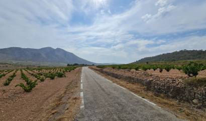 Sale - Land - Abanilla