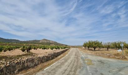 Sale - Land - Abanilla