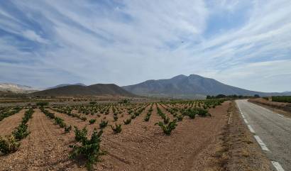 Sale - Land - Abanilla