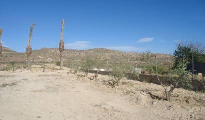 Sale - Land - Abanilla