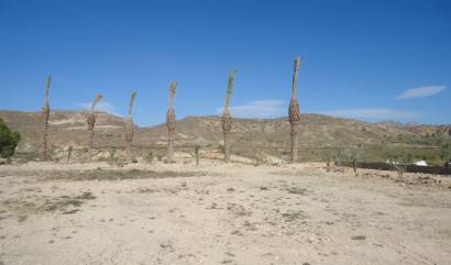 Sale - Land - Abanilla