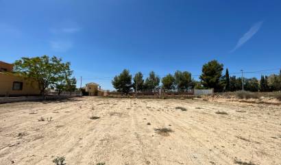 Sale - Land - Abanilla