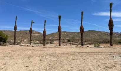 Sale - Land - Abanilla