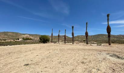 Sale - Land - Abanilla