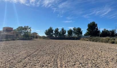 Sale - Land - Abanilla