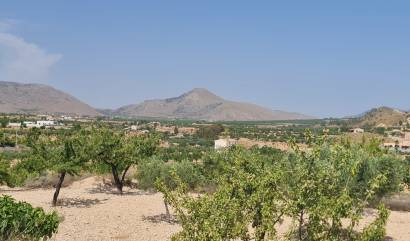 Sale - Land - Abanilla