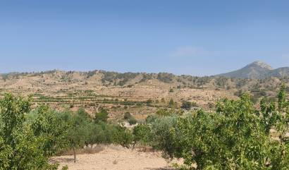 Sale - Land - Abanilla