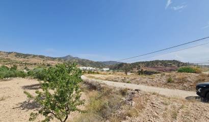 Sale - Land - Abanilla