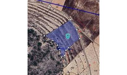 Sale - Land - Abanilla