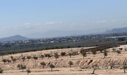 Sale - Land and Plots - San Fulgencio - La Marina