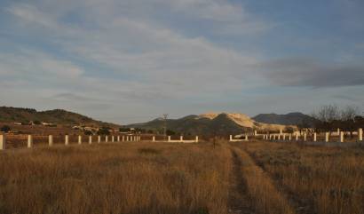Sale - Land - Canada De La Lena - Cañada de la Leña