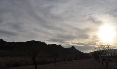 Sale - Land - Canada De La Lena - Cañada de la Leña