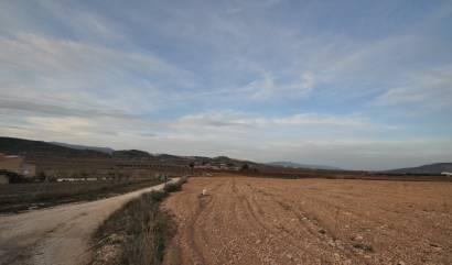 Sale - Land - Canada del Trigo