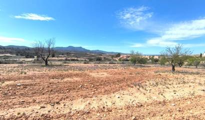 Sale - Land - Canada del Trigo